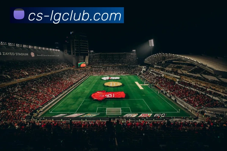 老哥俱乐部官网平台生态图